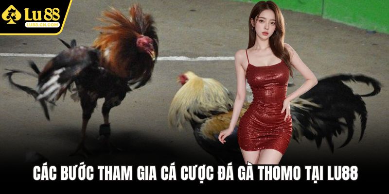 Các bước tham gia cá cược đá gà Thomo tại LU88