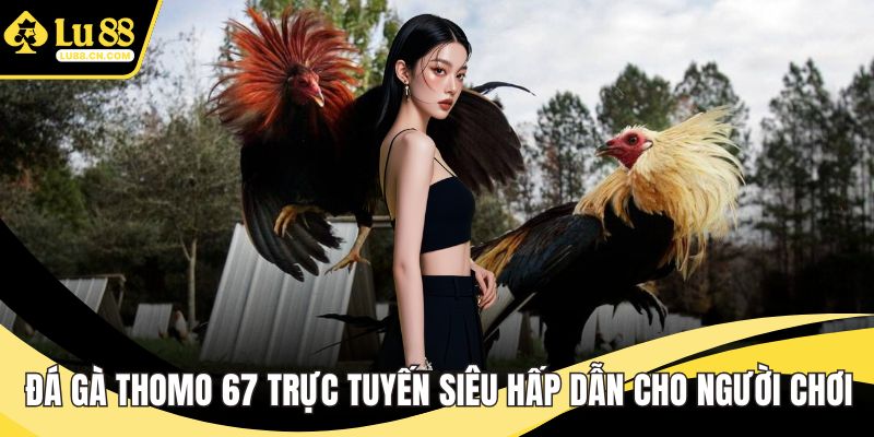 Đá gà Thomo 67