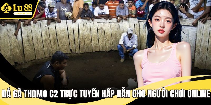Đá gà Thomo C2