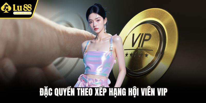 Đặc quyền theo xếp hạng hội viên VIP