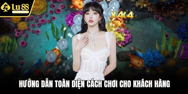 Hướng dẫn toàn diện cách chơi cho khách hàng