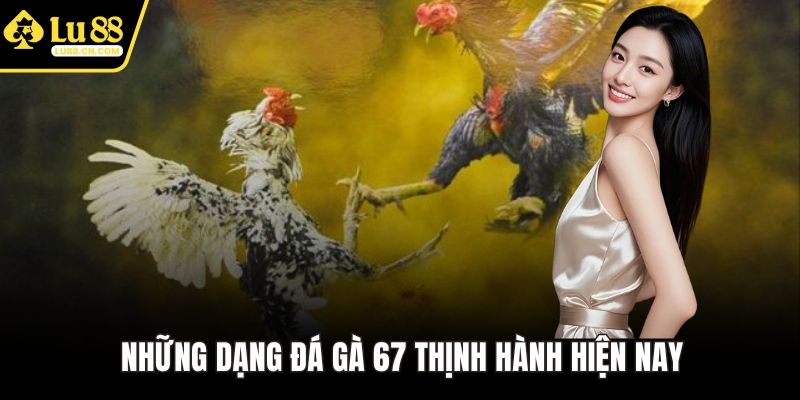 Những dạng đá gà 67 thịnh hành hiện nay