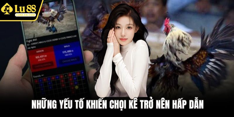 Những yếu tố khiến chọi kê trở nên hấp dẫn