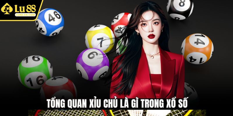 Tổng quan xỉu chủ là gì trong xổ số